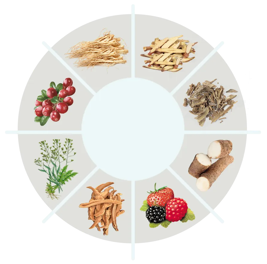 BackBiome Ingredients
